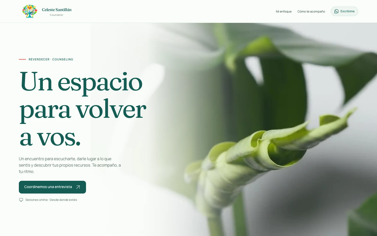 Portada de Celeste Santillán con el título Un espacio para volver a vos y una hoja verde de fondo